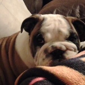 Meet your Posher, Barbara